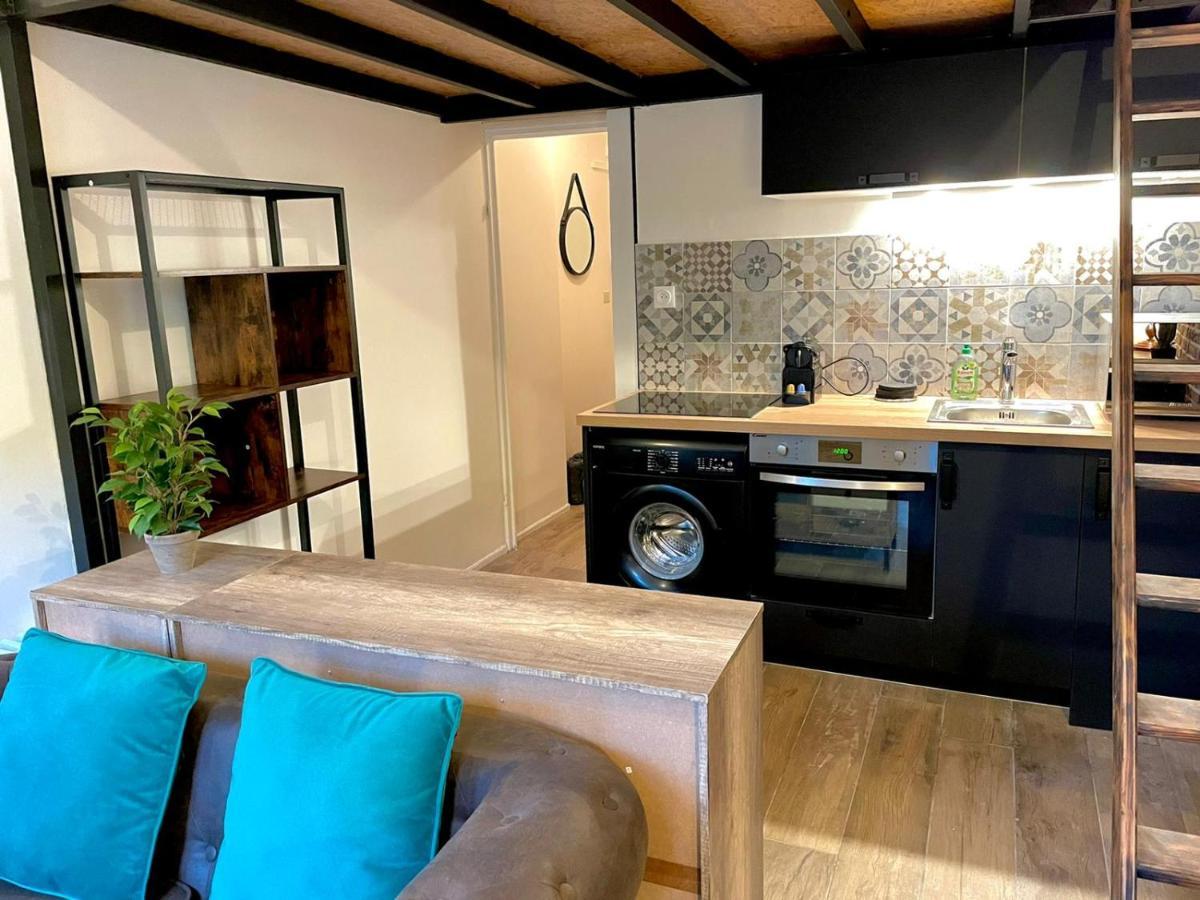 Cocooning & Modern Duplex City Center Carabacel Nice Luaran gambar